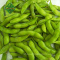 best price frozen mixed vegetables frozen broccoli